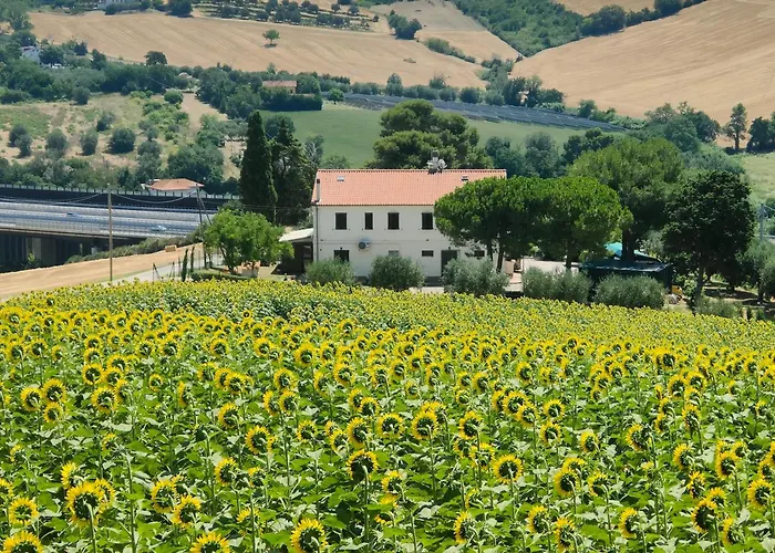 דירה La Casa Di Vandina סניגליה