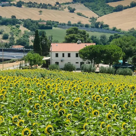 Appartamento La Casa Di Vandina Senigallia