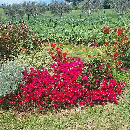 La Casa Di Vandina Appartamento *